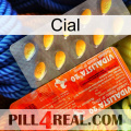 Cial new01